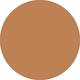 WN 100 Deep Honey Even Better Makeup Broad Spectrum SPF 15 Foundation 