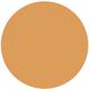 510 Aruba I Am Magic Velvety Matte Foundation 